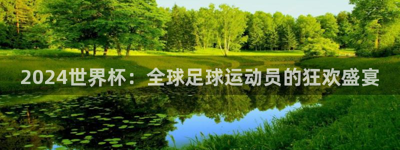 2024世界杯：全球足球运动员的狂欢盛宴