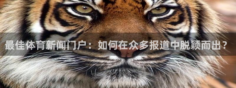 最佳体育新闻门户：如何在众多报道中脱颖而出？