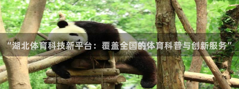 “湖北体育科技新平台：覆盖全国的体育科普与创新服务”