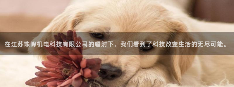 在江苏珠峰机电科技有限公司的辐射下，我们看到了科技改变生活的无尽可能。