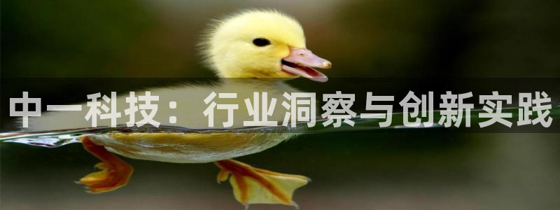 中一科技：行业洞察与创新实践
